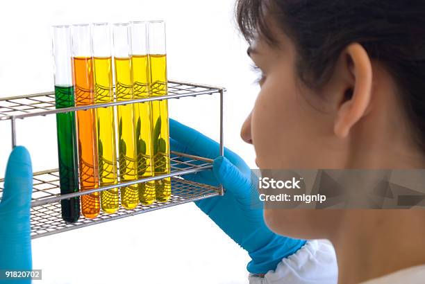 Lab Tech Analyzing Set Of Results Stock Photo - Download Image Now - Laboratory, Adult, Analyzing