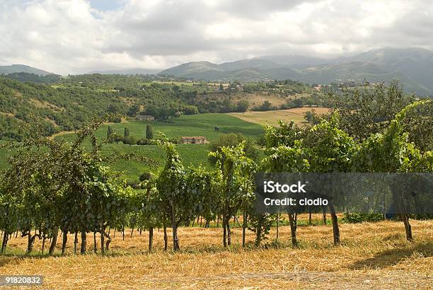 Viñedos Entre Rieti Y Terni Foto de stock y más banco de imágenes de Agricultura - Agricultura, Aire libre, Ajardinado