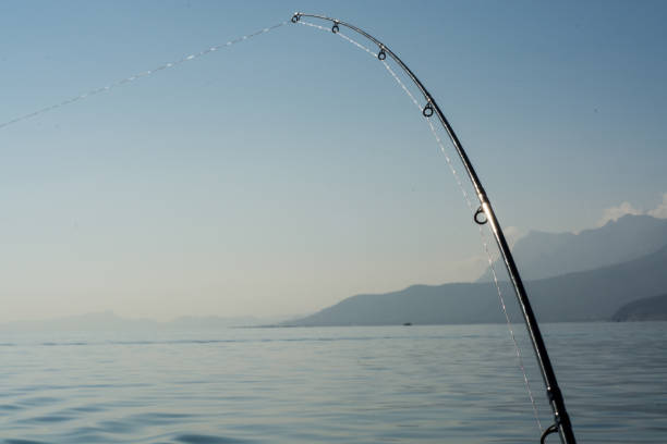 canna da pesca d'altura - pesca daltura foto e immagini stock