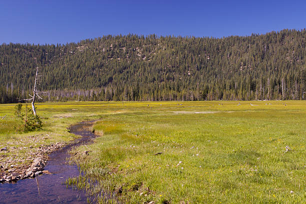 istock Meandering stream in mountain valley 91821578