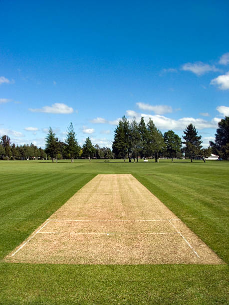 istock Cricket pitch in the park 91821804