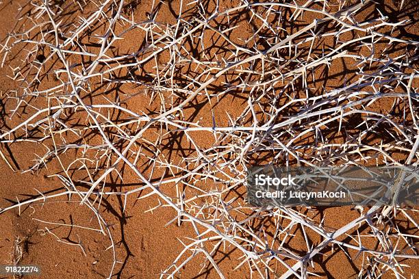 Dornen Stockfoto und mehr Bilder von Abstrakt - Abstrakt, Afrika, Ausgedörrt