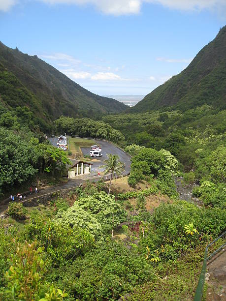 istock view of Io Valley, Maui 91822422