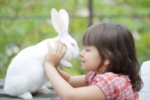 istock little girl and white rabbit 918226112