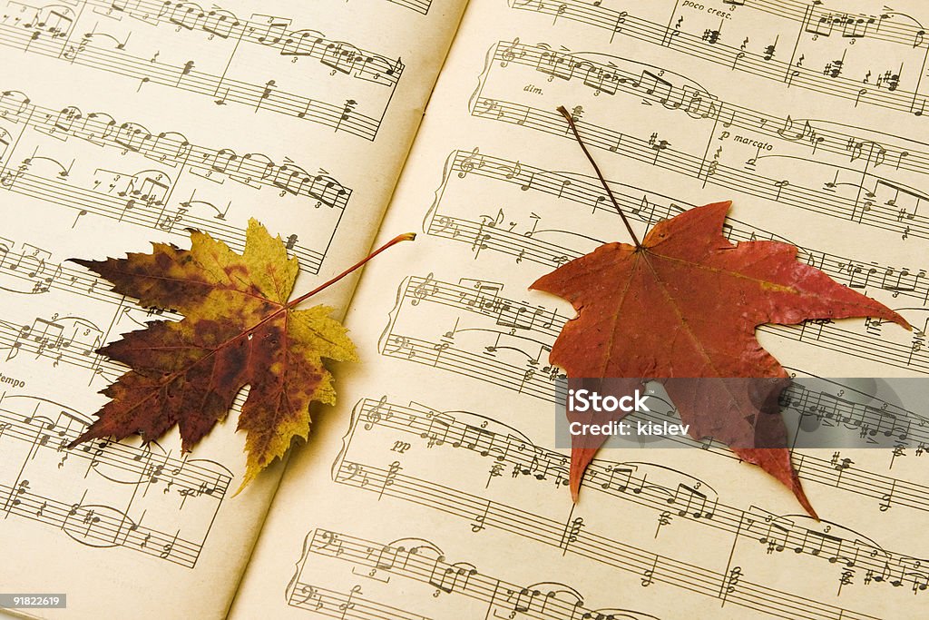 Autumn leaves on the top of a music book Tchaikovsky music,    "The Seasons -  October, Autumn Song" Music Stock Photo