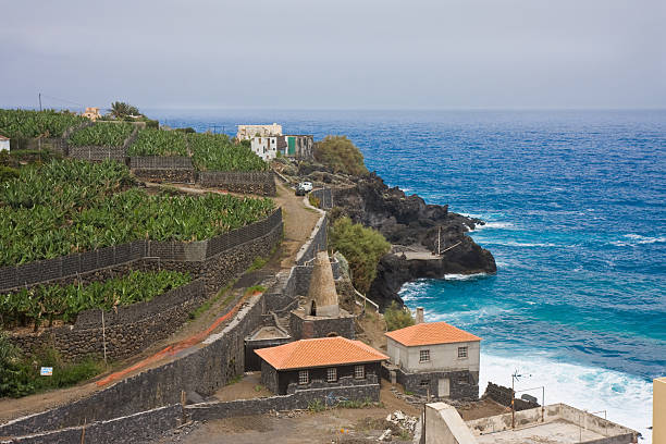 istock Coast of La Palma 91822730