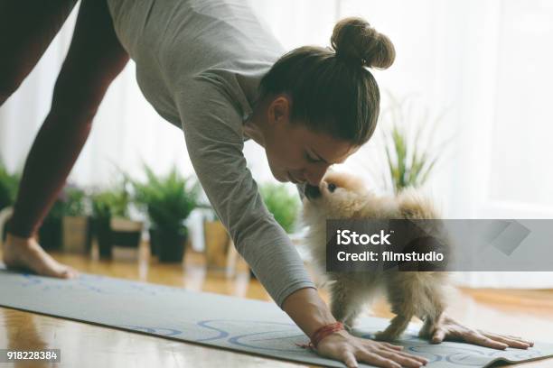 Play With Me Stock Photo - Download Image Now - Dog, Yoga, Women