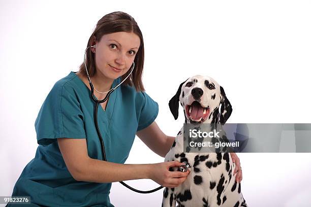 Dalmatian Und Veterenarian Stockfoto und mehr Bilder von Hund - Hund, Tierarzt, Weißer Hintergrund