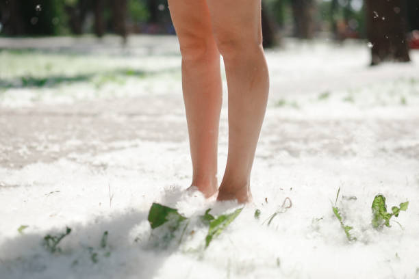 istock Female feet on grass covered with poplar fluff 918233716