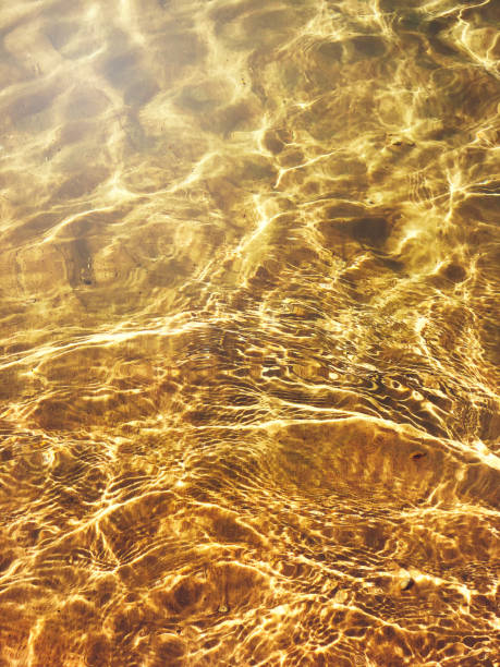 istock Background golden sea. 918233798