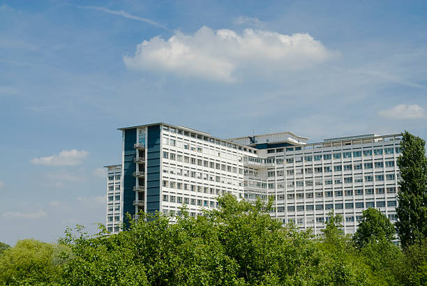 istock Apartment building in the forest 91823638