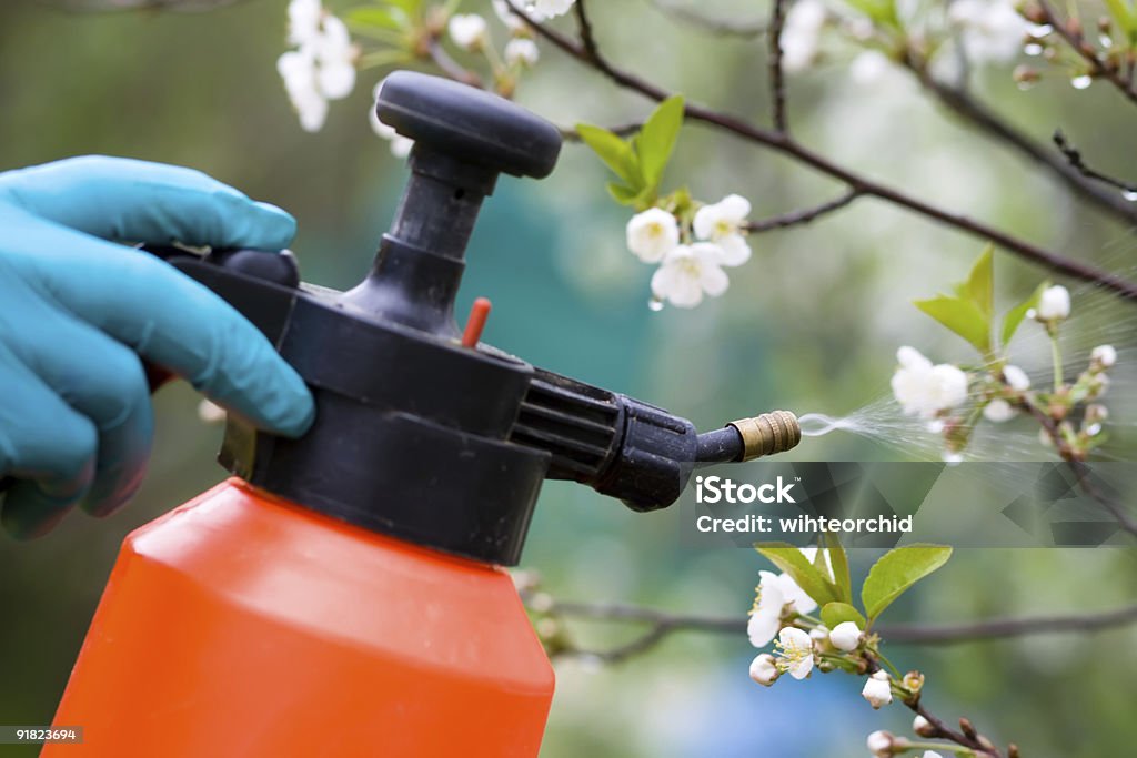 Fertilizzante alberi - Foto stock royalty-free di Fertilizzante