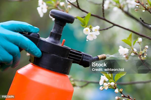 Fertilizzante Alberi - Fotografie stock e altre immagini di Fertilizzante - Fertilizzante, Albero, Liquido