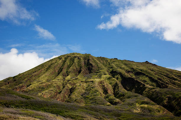 istock Koko  Crater on Oahu in Hawaii 91823721