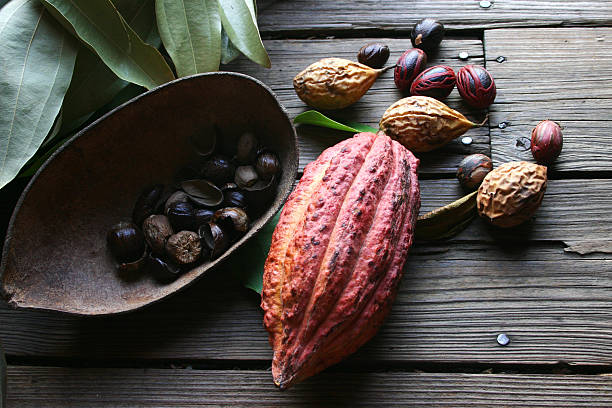 Cocoa bean and nutmeg
