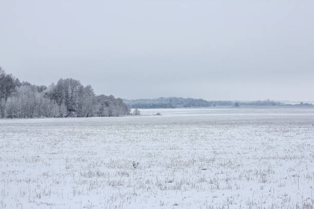 istock winter in the village 918248364