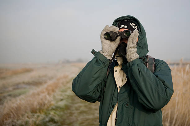 Winter und Vogelbeobachtung im Marschland – Foto