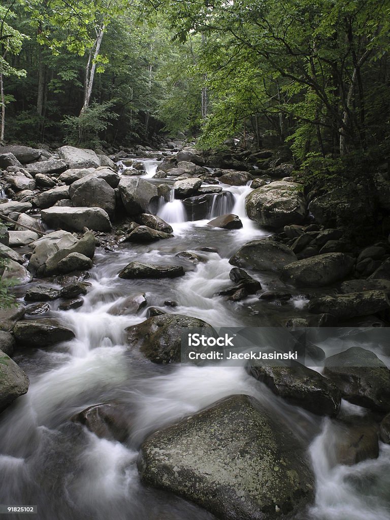 Middle Prong creek in Great Smoky Mountains  Appalachia Stock Photo