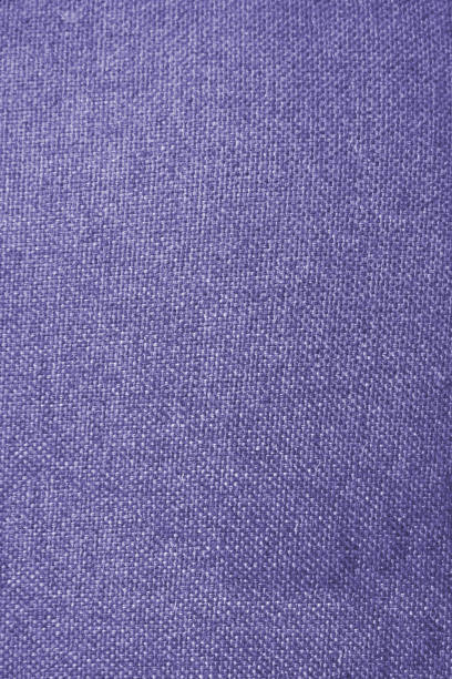 istock purple, lilac, tropish background 918255716