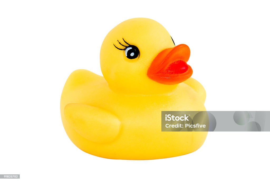 duck new  Artificial Stock Photo