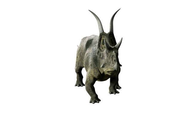 istock 3D Illustration of the Diceratops dinosaur on white background 918259162