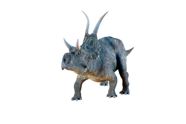 istock 3D Illustration of the Diceratops dinosaur on white background 918259184