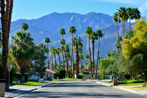 Mid-century modern homes, street scene in Palm Springs, Southern California, USA A street scene in Palm Springs, Southern California, USA which is famous for its many Mid-Century Modern architectural style homes. California fan palm trees and a view of the San Jacinto Mountains are seen from this cul-de-sac street level. fan palm tree photos stock pictures, royalty-free photos & images
