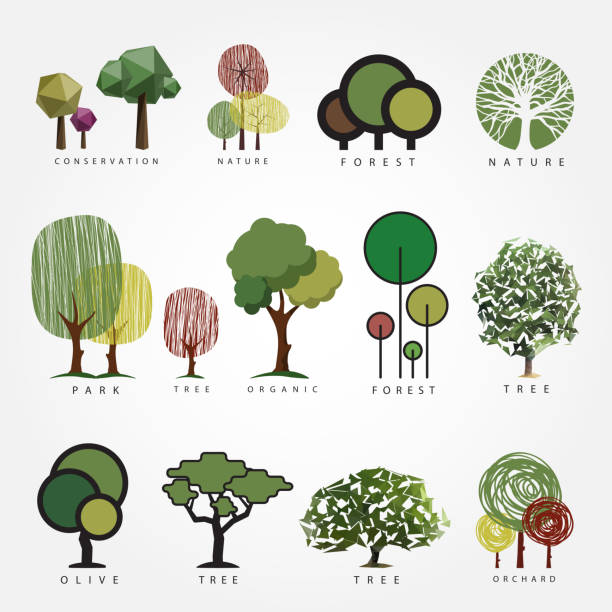 Set of vector tree illustration. Geometric, stylized, hand drawn and polygonal style tree illustrations. Tree label, , icon, nature, eco, green, organic, outdoors design. forest symbols stock illustrations