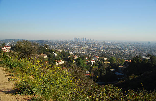 istock Los Angeles City 91826320