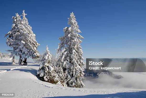 Schnee Bäume Im - Fotografias de stock e mais imagens de Ao Ar Livre - Ao Ar Livre, Azul, Branco