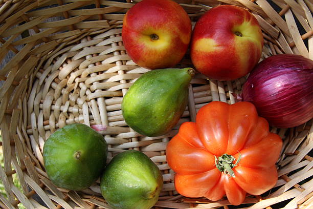 istock Vegetables harvest in the garden 91826804