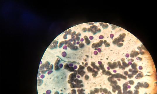 Cells Optical Microscope Colorful Cells Under Optical Microscope Stock Photo - Download Image ...