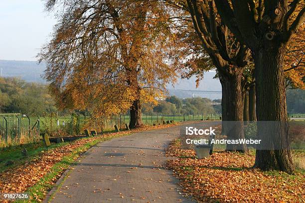 Велосипедная Дорожка В Осень — стоковые фотографии и другие картинки Без людей - Без людей, Велосипедная дорожка, Ветвь - часть растения