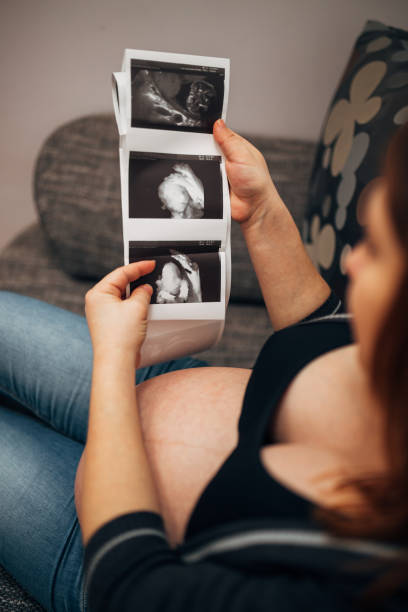 Pregnancy ultrasound scan result