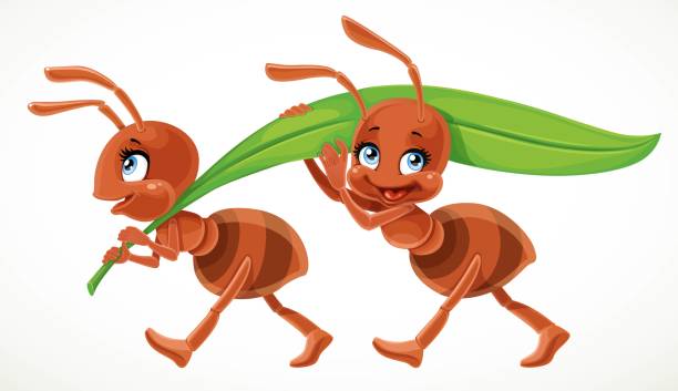 Two Ants Illustrations, Royalty-Free Vector Graphics & Clip Art - iStock