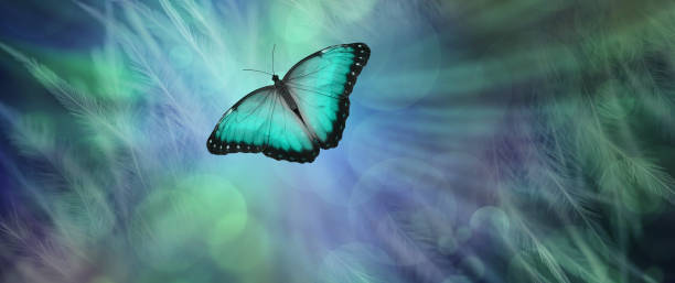 istock Soul Release Metaphor for departing soul 918286918