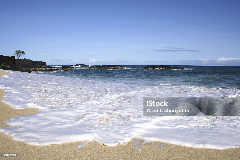 Hawaï: Oahu - Photo de Beauté de la nature libre de droits