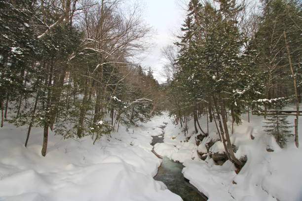 istock A river through the forest in the White Mountains, New Hampshire 918290564
