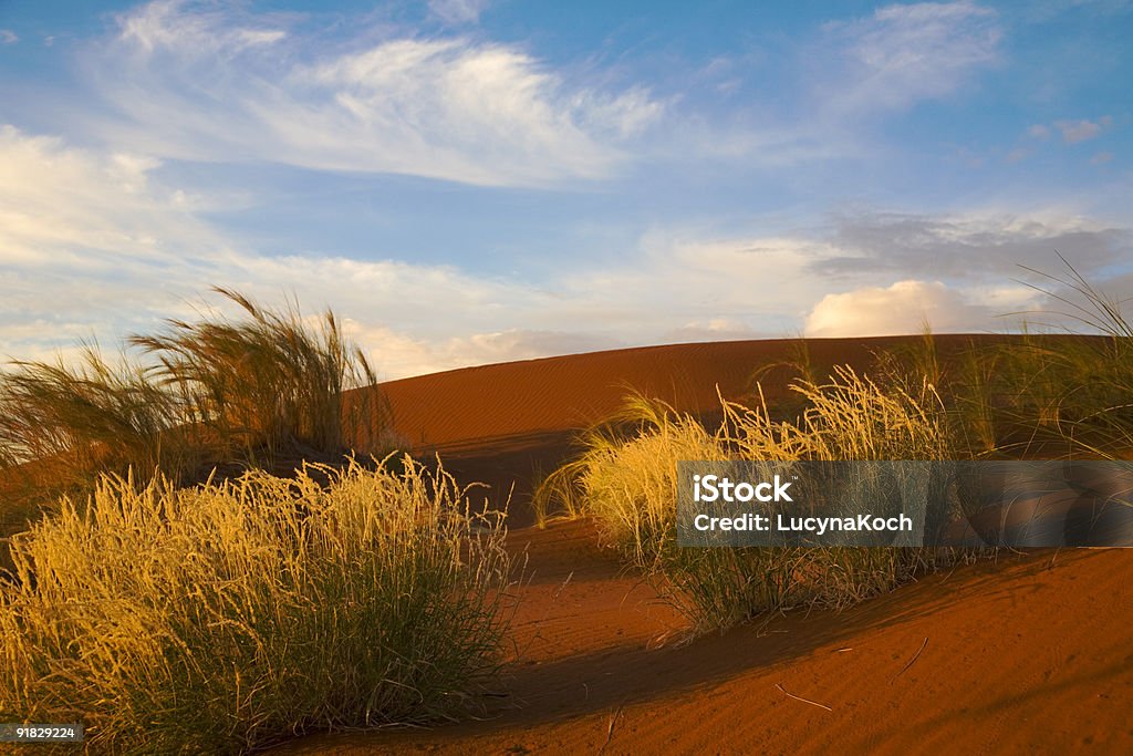 Morgensonne - Lizenzfrei Abstrakt Stock-Foto