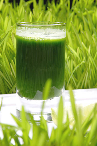 istock fresh juice from sprout of the wheat 91829360