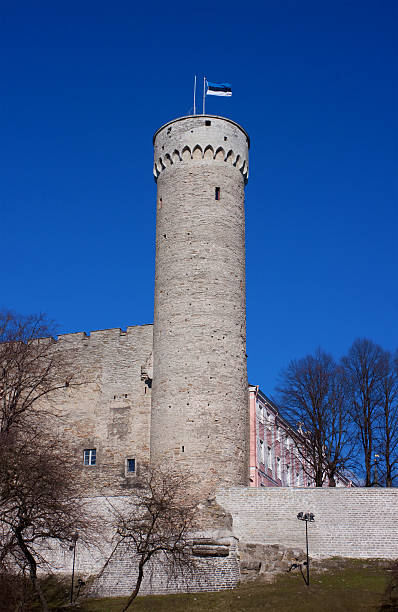 istock Pikk Herman tower of medieval town Tallinn 91829457