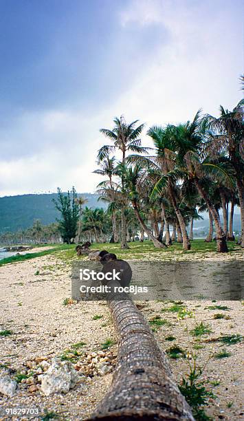 Nimitz Beach Stock Photo - Download Image Now - Guam, Coconut Palm Tree, Color Image