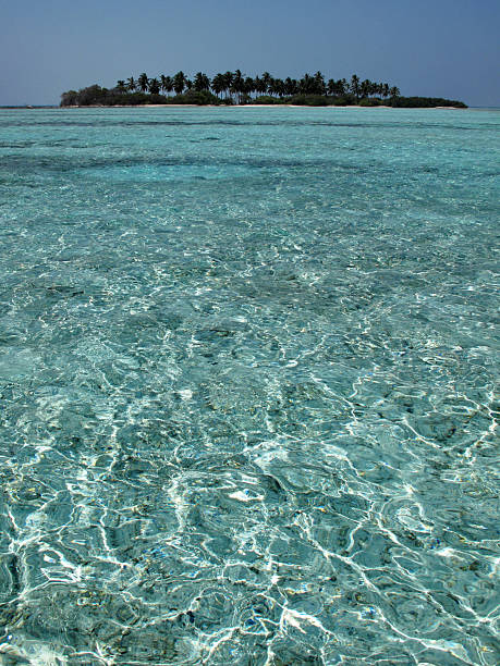 istock Shimmering sea leading to palm island 91829800