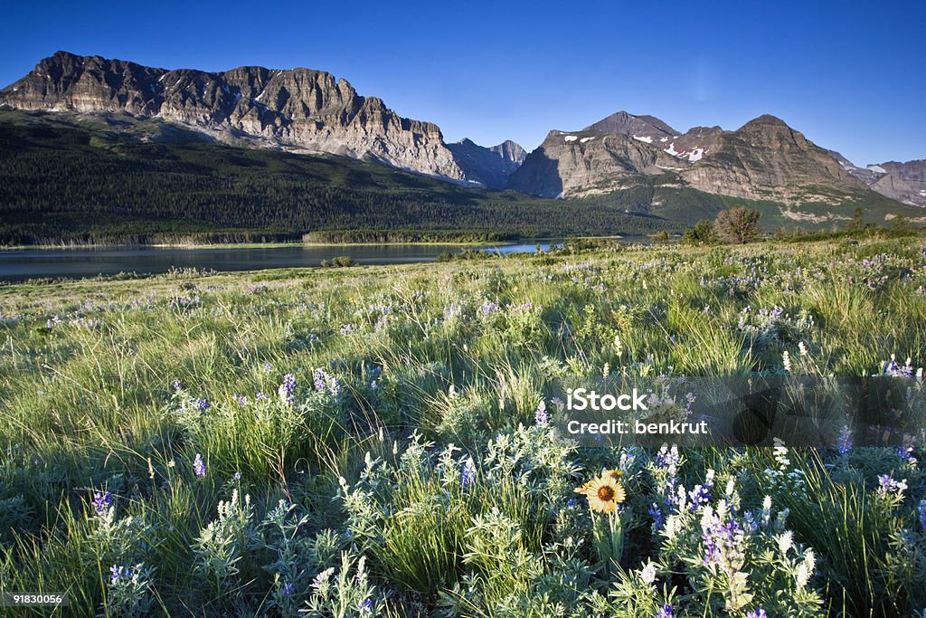 Glacier National Park - Lizenzfrei Berg Stock-Foto