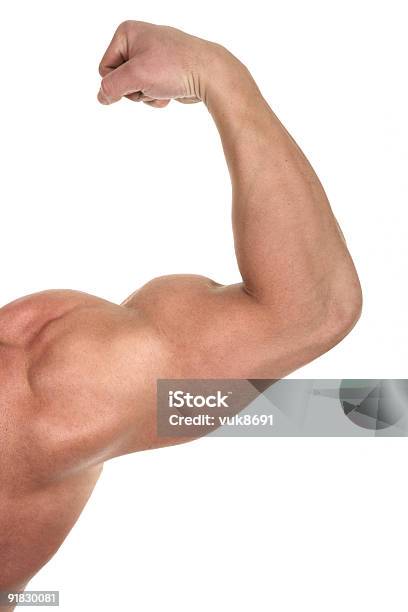 Biceps Muscular Foto de stock y más banco de imágenes de Esteroides - Esteroides, Culturismo, Musculoso