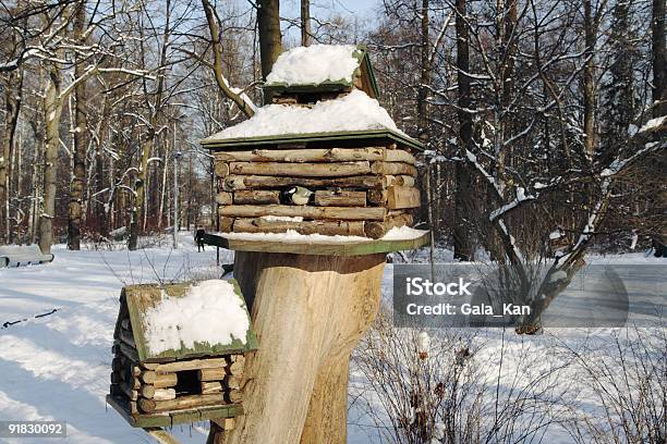 Birdfeeders - Fotografie stock e altre immagini di Ambientazione esterna - Ambientazione esterna, Animale, Animale selvatico