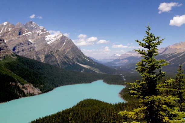 istock Peyto Lake In Jasper National Park Canada 918301666