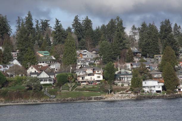 istock Whole Bunch Of Waterfront Homes 918305212
