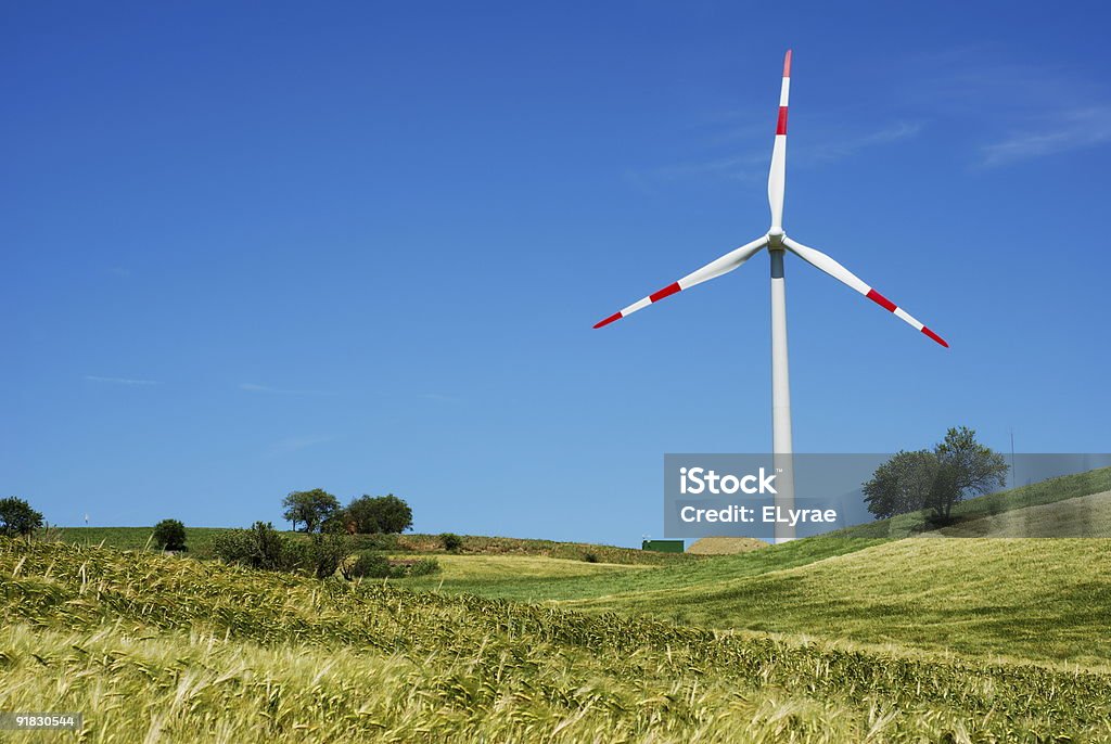 Turbina eólica e campo dourado - Royalty-free Ajardinado Foto de stock Turbina eólica e campo dourado - Royalty-free Ajardinado Foto de stock