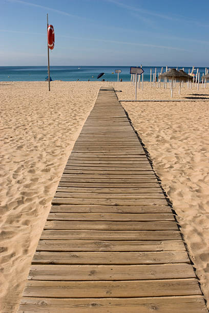 istock Beach - boardwalk to the sea 91830616